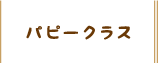 パピークラス